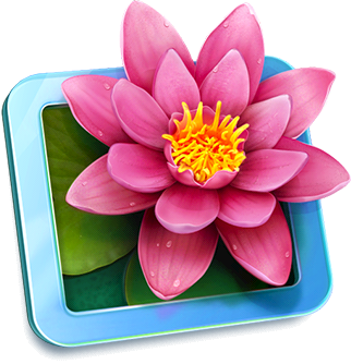 LilyView Icon